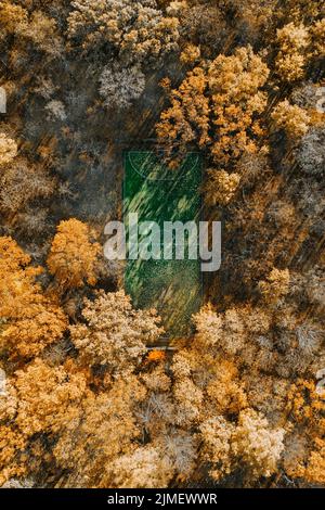 Fußballplatz im Herbst Laubwald, Luftaufnahme Stockfoto