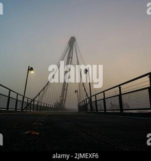 Der Herrenkrugsteg, eine Hängebrücke über die Elbe auf dem Elbradweg bei Magdeburg Stockfoto