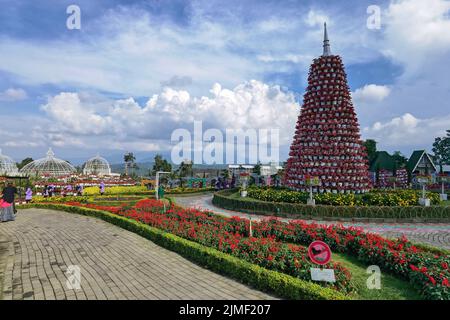 Taman Bunga Celosia Park, Bandungan, Semarang, Indonesien Stockfoto