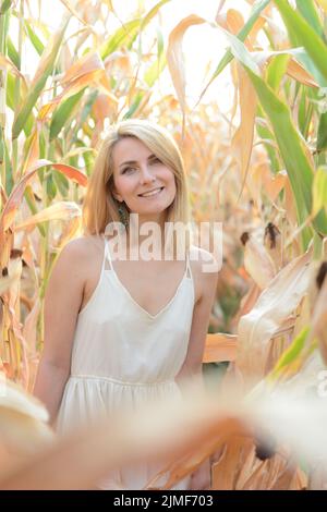 Junge glücklich lächelnde kaukasische Frau in weißem Kleid im Maisfeld abend herbst Stockfoto