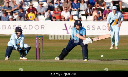 CHELMSFORD ENGLAND - 05. AUGUST :Essex's Grant Roelofsen während des Royal London One-Day Cup Spiels zwischen Essex Eagles CCC und Derbyshire CCC am Stockfoto