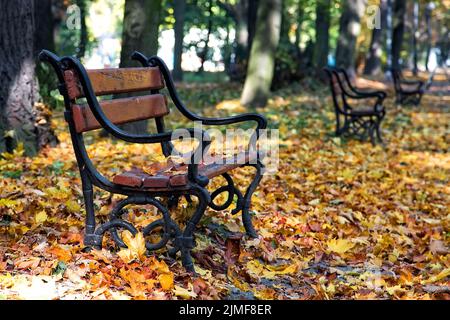 Holzbank in Herbstlandschaft Stockfoto