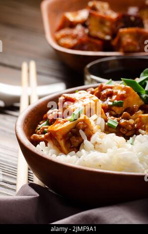 Authentische traditionelle chinesische Küche Mapo Tofu Gericht mit Schweinefleisch Schnittlauch gedämpften Reis und Sojasoße Nahaufnahme Stockfoto