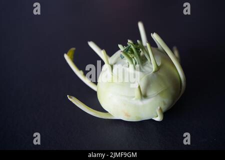 Deutsche Rübe oder Kohlrabi, ein seltsames Gemüse mit schwarzem Hintergrund Stockfoto