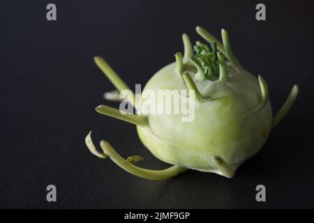 Nahaufnahme eines grünen Kohlrabi mit seinen seltsamen Tentakeln. Schwarzer Hintergrund. Spanien Stockfoto