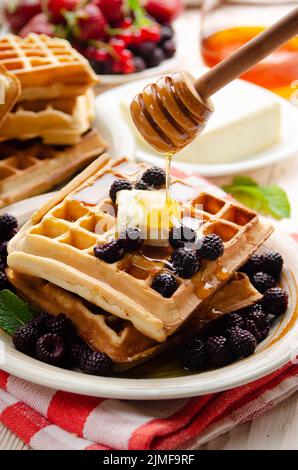 Belgische Waffeln serviert mit Brombeerbutter und Honig Stockfoto