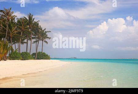 Idyllischer Strand mit Palmen auf den Malediven, Indischer Ozean Stockfoto