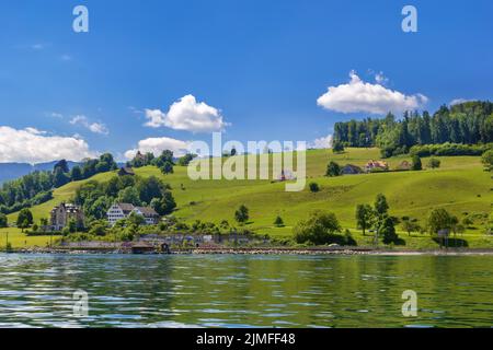 Ufer des Zürichsees, Schweiz Stockfoto