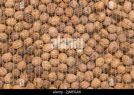 Walnüsse Juglans regia in einem gelben Plastiknetz Stockfoto