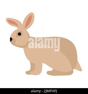 Kaninchen oder Hase Cartoon Hase Haustier. Tier-Ikone und Bauernhof Rasse ostern. Nagetier isoliert weißen Vektor-Illustration und liebenswert pelzigen Tier. Wild zeichnen Stock Vektor