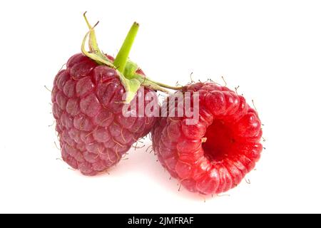 Zwei Himbeeren isoliert auf weißem Hintergrund. Frische Beeren aus der Nähe. Stockfoto