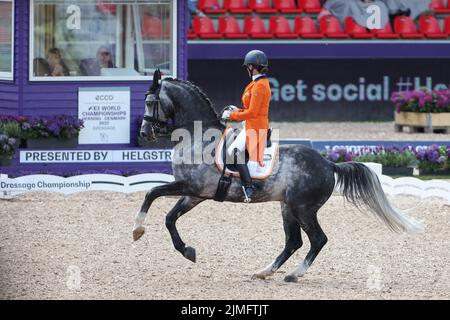 06. August 2022, Dänemark, Herning: Reitsport: Weltmeisterschaft, Dressur, Grand Prix. Dressurreiter Thamar Zweistra (Niederlande) reitet auf Hexagon's Ich Weiss. Foto: Friso Gentsch/dpa Stockfoto