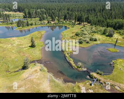 Luftaufnahme einer Gruppe von Freunden, die beim Kajak auf dem Wood River in der Nähe von Fort Klamath im Süden von Oregon fahren Stockfoto