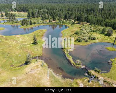Luftaufnahme einer Gruppe von Freunden, die beim Kajak auf dem Wood River in der Nähe von Fort Klamath im Süden von Oregon fahren Stockfoto
