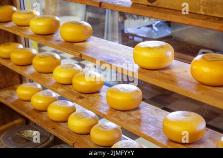 Holland Käse rundet auf dem traditionellen Markt ab Stockfoto