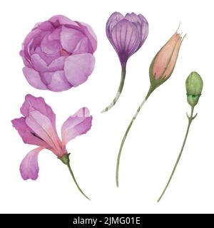 Aquarell-Blumenset, verschiedene Knospen und blühende Blumen Illustration, dekoratives Element Design für Grußkarte, Hochzeitseinladung und Hintergrund. Stock Vektor