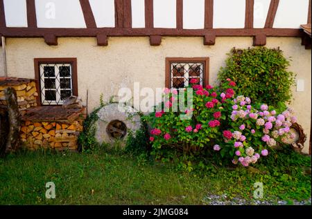 Altes Fachwerkhaus und ein Stapel Feuerholz und ein alter Mühlstein am Turquoisteich Blautopf in Blaubeuren (Deutschland) Stockfoto