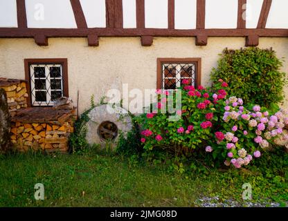 Altes Fachwerkhaus und ein Stapel Feuerholz und ein alter Mühlstein am Turquoisteich Blautopf in Blaubeuren (Deutschland) Stockfoto