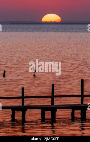 Ein einsiedlerer Reiher steht auf dem Stumpf eines Pfostens, als die Sonne über der Mobile Bay untergeht, von Fairhope, Alabama aus gesehen. Stockfoto