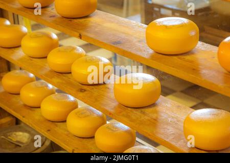 Holland Käse rundet auf dem traditionellen Markt ab Stockfoto