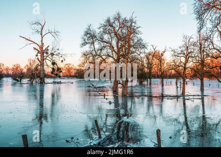 Eisbedecktes Feld nach einer Flut und frostiger Nacht Stockfoto