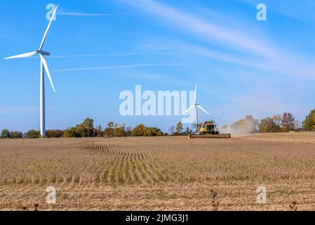 Kombinieren Sie Harvester in einem Weizenfeld, das an einem klaren Herbsttag von hohen Windkraftanlagen übersehen wird Stockfoto