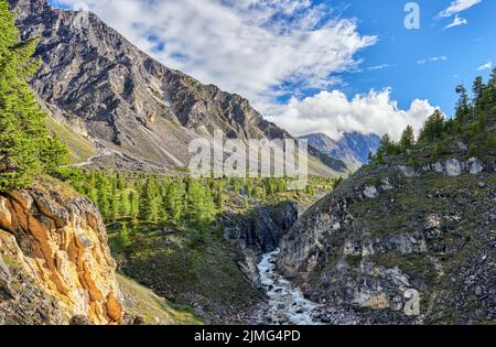 Enge Flussschlucht in den sibirischen Bergen. Eastern Sayan. Burjatien. Russland Stockfoto