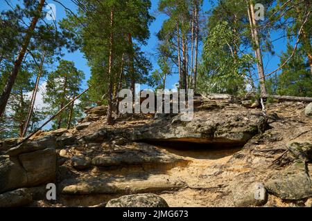 Runde Felsformationen ziehen Kletterer an. Sandsteinfelsen, die durch Winderosion poliert werden. Laub- und Mischwald mit Buchen im frühen Frühjahr. Üppige lea Stockfoto