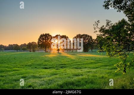 Ein Weitwinkelblick auf eine wunderschöne Wiese mit etwas Nebel unter einem blauen Himmel bei Sonnenaufgang oder Sonnenuntergang mit der Sonne, die durch die tr scheint Stockfoto