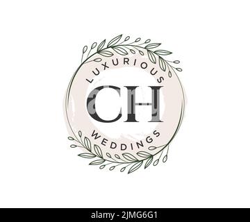 CH Initialen Brief Hochzeit Monogramm Logos Vorlage, handgezeichnete moderne minimalistische und florale Vorlagen für Einladungskarten, Save the Date, elegant Stock Vektor