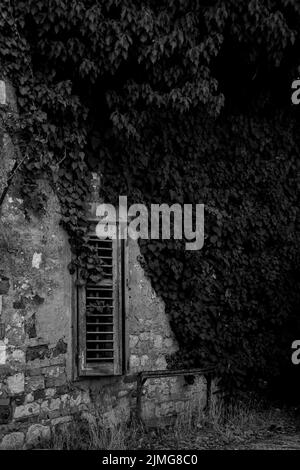Eine schwarz-weiße vertikale Aufnahme eines Gebäudes mit einem kleinen Fenster und Pflanzen an den Wänden Stockfoto