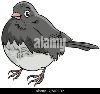Junco Vogel Tier Charakter Cartoon Illustration Stockfoto