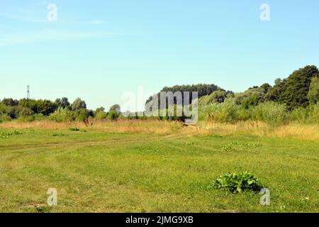 Schöne Felder, weit entfernte Steppen, Wiesen mit wilden Kräutern, üppiges Gras, Wälder mit Laubbäumen und Tannen. Olorful Landschaften, fabelhafte Natur. Stockfoto
