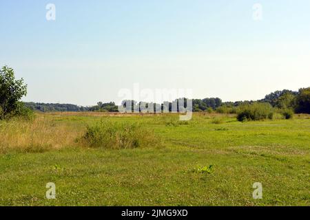 Schöne Felder, weit entfernte Steppen, Wiesen mit wilden Kräutern, üppiges Gras, Wälder mit Laubbäumen und Tannen. Olorful Landschaften, fabelhafte Natur. Stockfoto