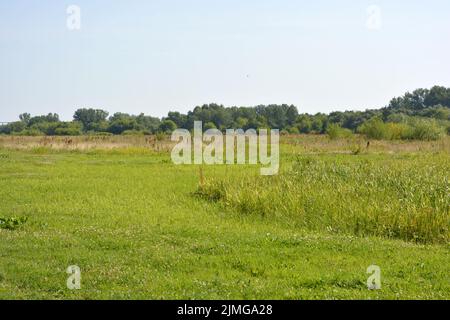 Schöne Felder, weit entfernte Steppen, Wiesen mit wilden Kräutern, üppiges Gras, Wälder mit Laubbäumen und Tannen. Olorful Landschaften, fabelhafte Natur. Stockfoto