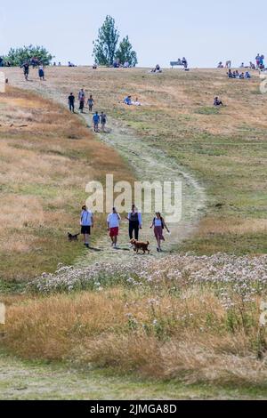 London, Großbritannien. 6. August 2022. Im gelb verbrannten Gras auf dem Parliament Hill spazieren die Menschen und picknicken – das heiße Wetter setzt die Dürreverhältnisse auf Hampstead Heath fort. Kredit: Guy Bell/Alamy Live Nachrichten Stockfoto