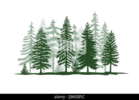 Eine Vektordarstellung von grünen Kiefern, isoliert auf weißem Hintergrund Stock Vektor