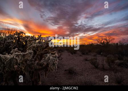 Dramatische, lebhafte Sonnenuntergangslandschaft in Tucson, Arizona Stockfoto
