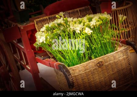 Frische weiße Freesia Blumen Bouquet Zusammensetzung Stockfoto