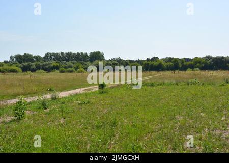Schöne Felder, weit entfernte Steppen, Wiesen mit wilden Kräutern, üppiges Gras, Wälder mit Laubbäumen und Tannen. Stockfoto