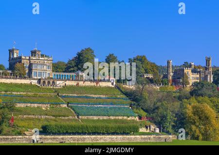 Lingner Palace, Dresden, Deutschland Stockfoto