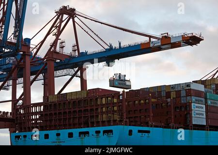 Der Container wird am Eurogate-Containerterminal, Hamburg, auf ein Containerschiff verladen Stockfoto