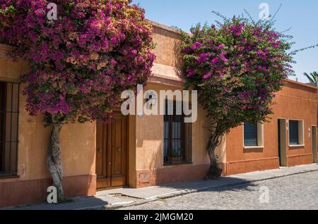 Colonia del Sacramento in Uruguay, ein wichtiger Touristenort. Stockfoto