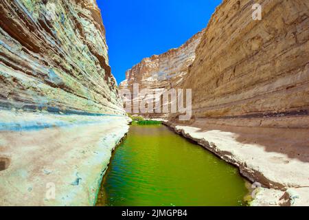 Der Qing-Fluss in der Negev-Wüste Stockfoto