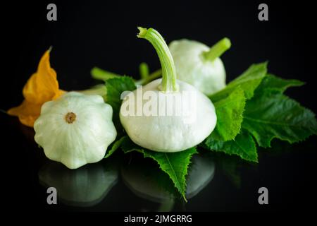 Frischer Bio-Kürbis mit Blumen und Laub isoliert auf schwarzem Hintergrund Stockfoto