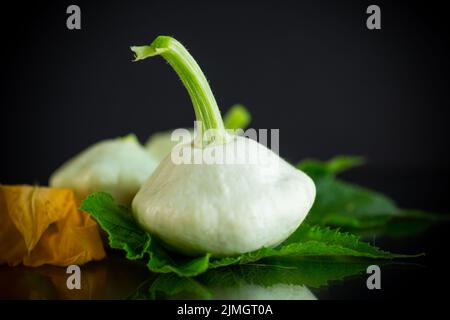 Frischer Bio-Kürbis mit Blumen und Laub isoliert auf schwarzem Hintergrund Stockfoto