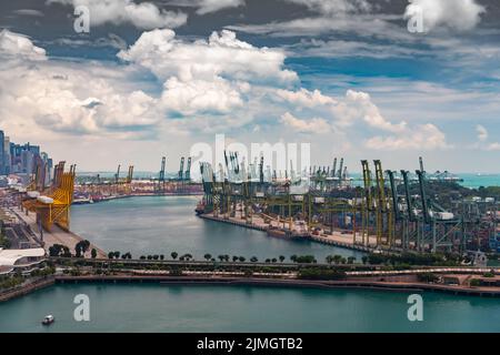 Der riesige verkehrsreichste Logistikhafen in Singapur, viele Krane, um Container zu bewegen, riesige Frachtschiffe im Hintergrund, Wolkenkratzer Stockfoto