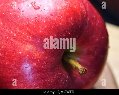 Großer reifer roter Apfel, Makroaufnahme. Wassertropfen auf einer Apfelschale. Eine schöne Frucht. Stockfoto