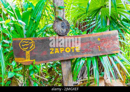 Informationen zum Sian Kaan Nationalpark Eingang willkommen Sing Board Mexiko. Stockfoto