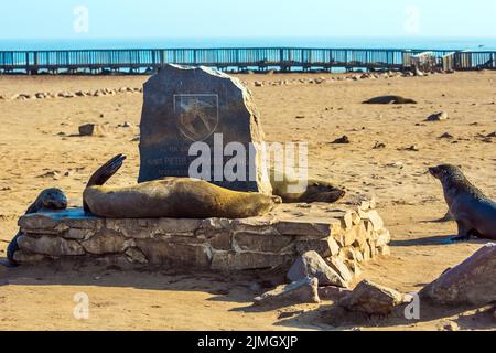 Kolonie von Pelzrobben vor der Küste des Atlantiks Stockfoto